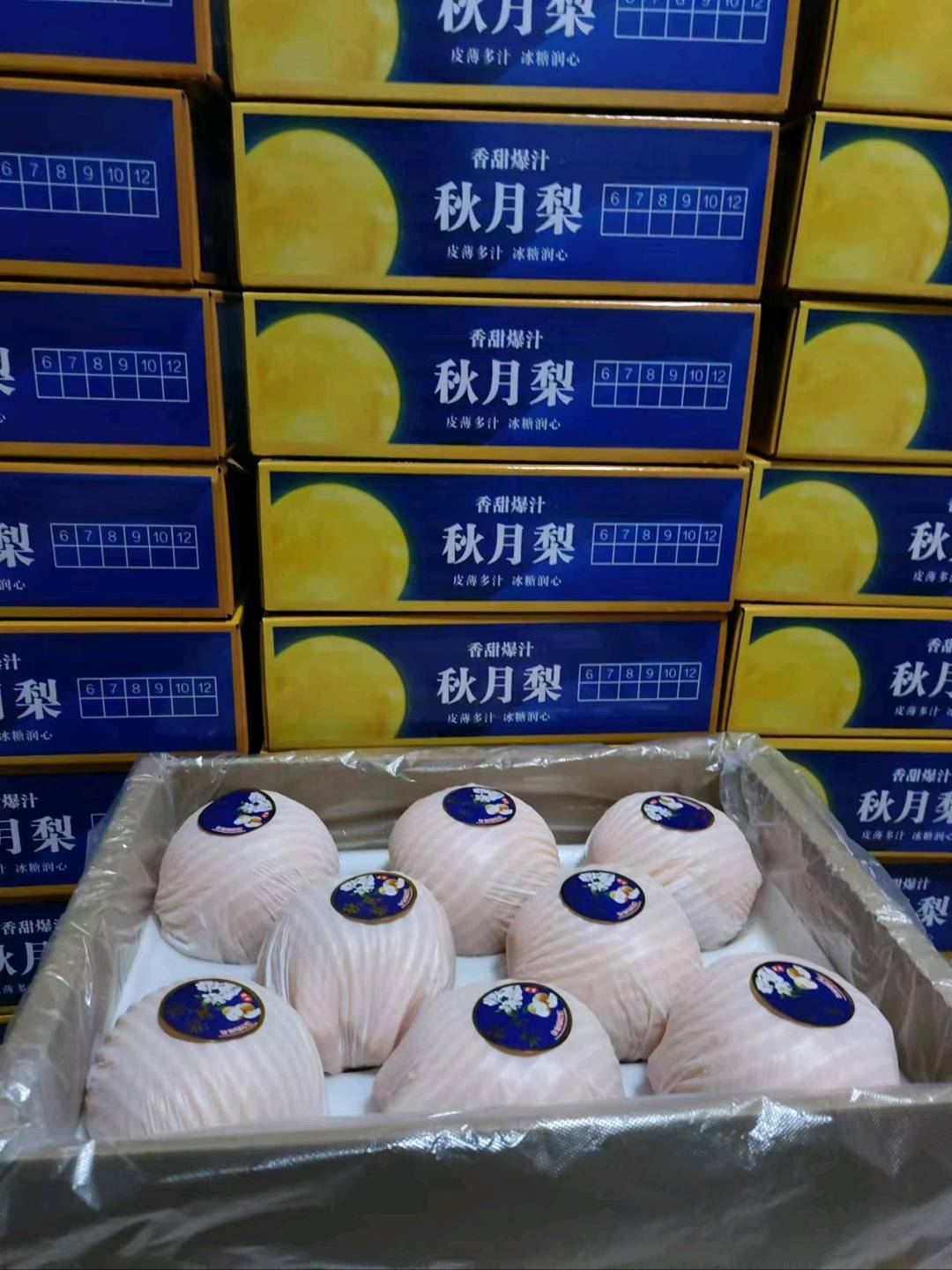 郑女士品牌货源