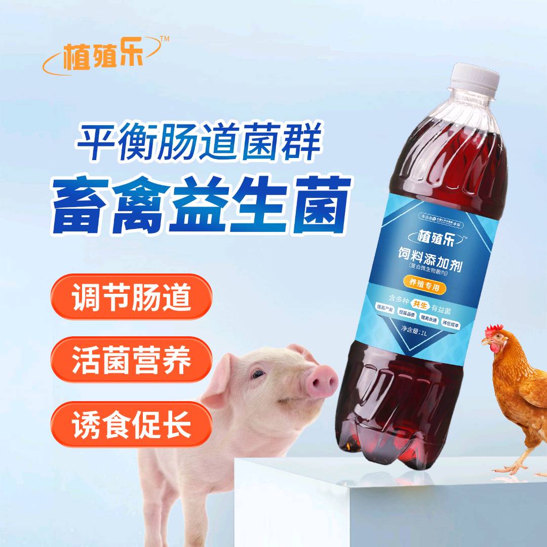 刘先生品牌货源