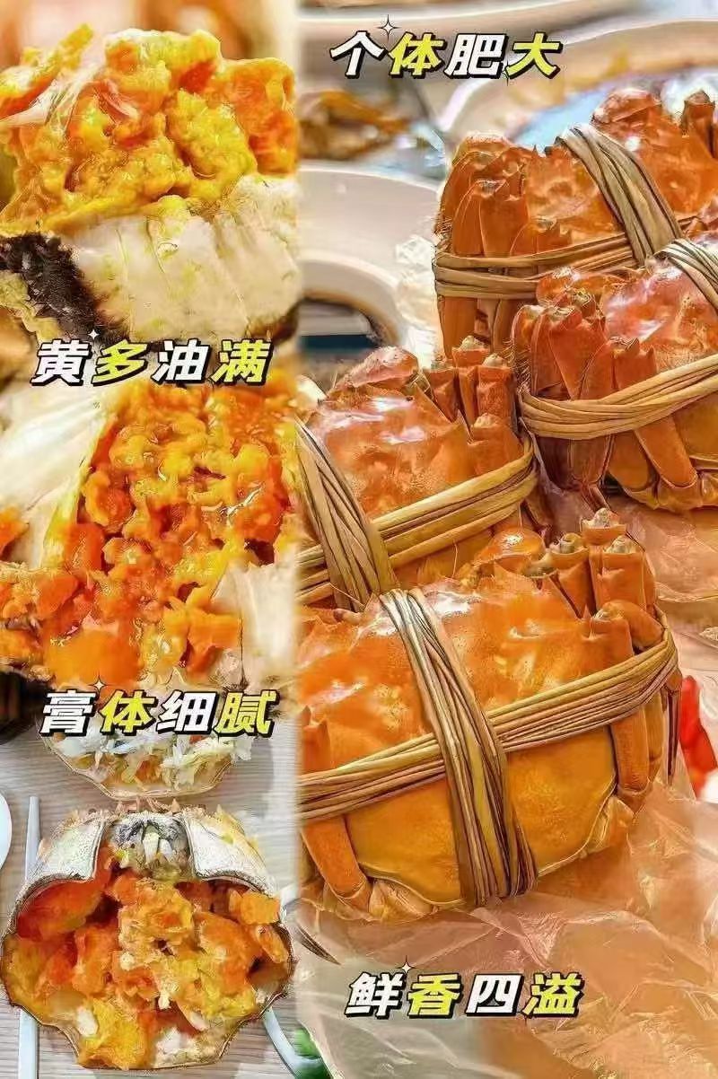 胡先生品牌货源