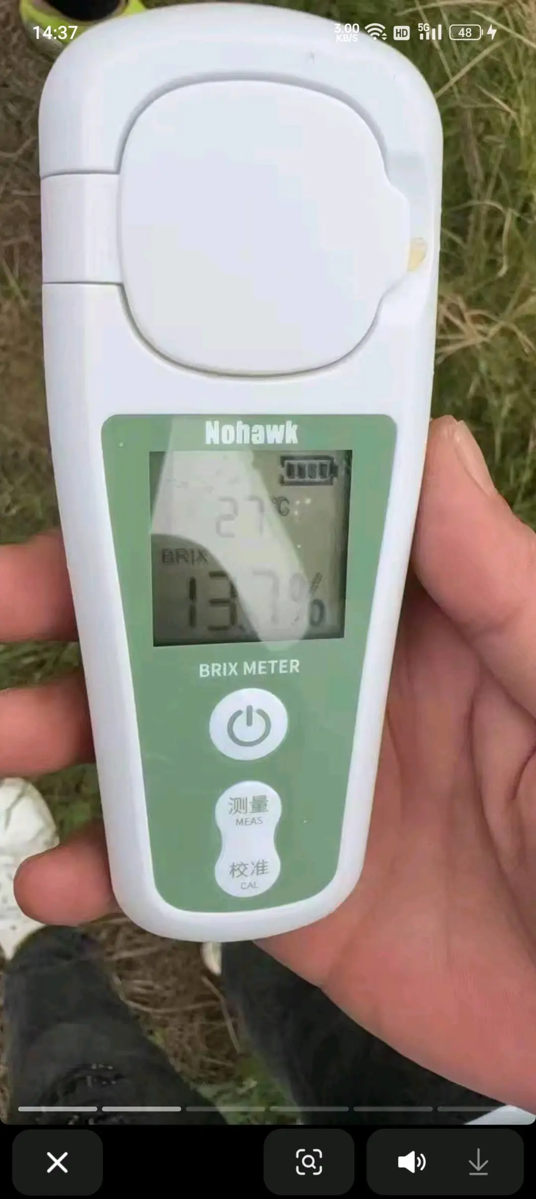 张波四川爱媛果冻橙 耙耙柑产地一手水果货源