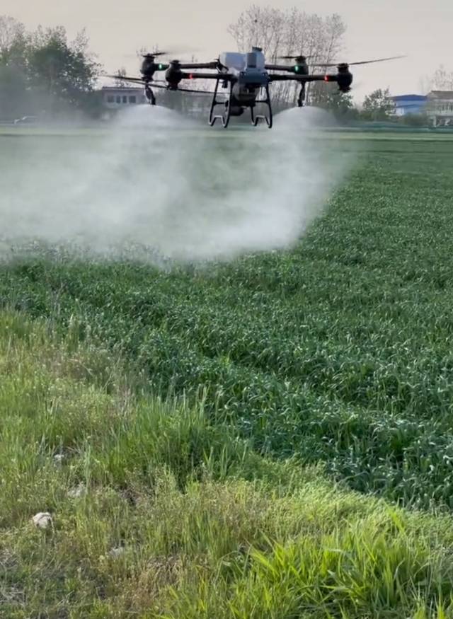 陈骏霖其他供需
