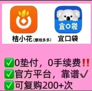 吕先生地推项目桔小花宜口袋一手资源