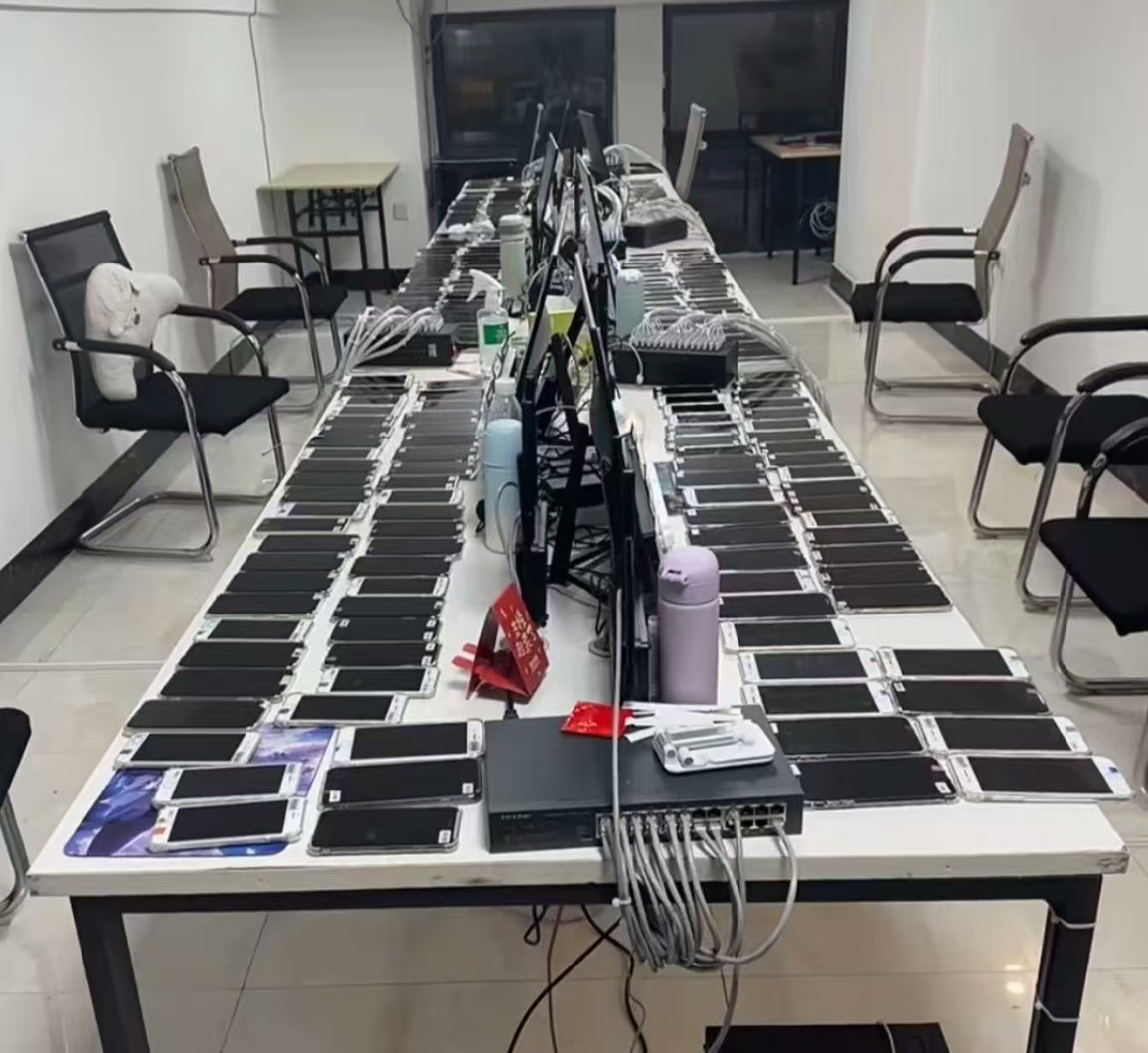 倪晟淞其他供需0门槛简单日结