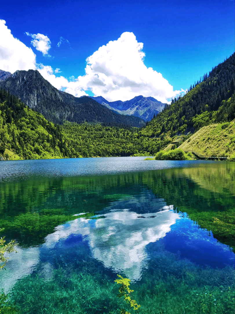 吴先生找合伙人APP拉新,一对一培训陪跑,直连渠道不代理只收徒