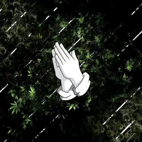 王先生推广团队地推网推团队