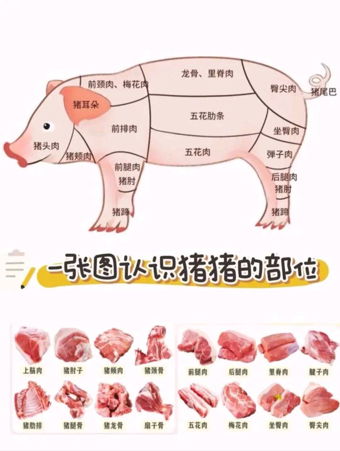 王武品牌货源提供新鲜肉，腊肉，产地贵州！有需要的老总联系