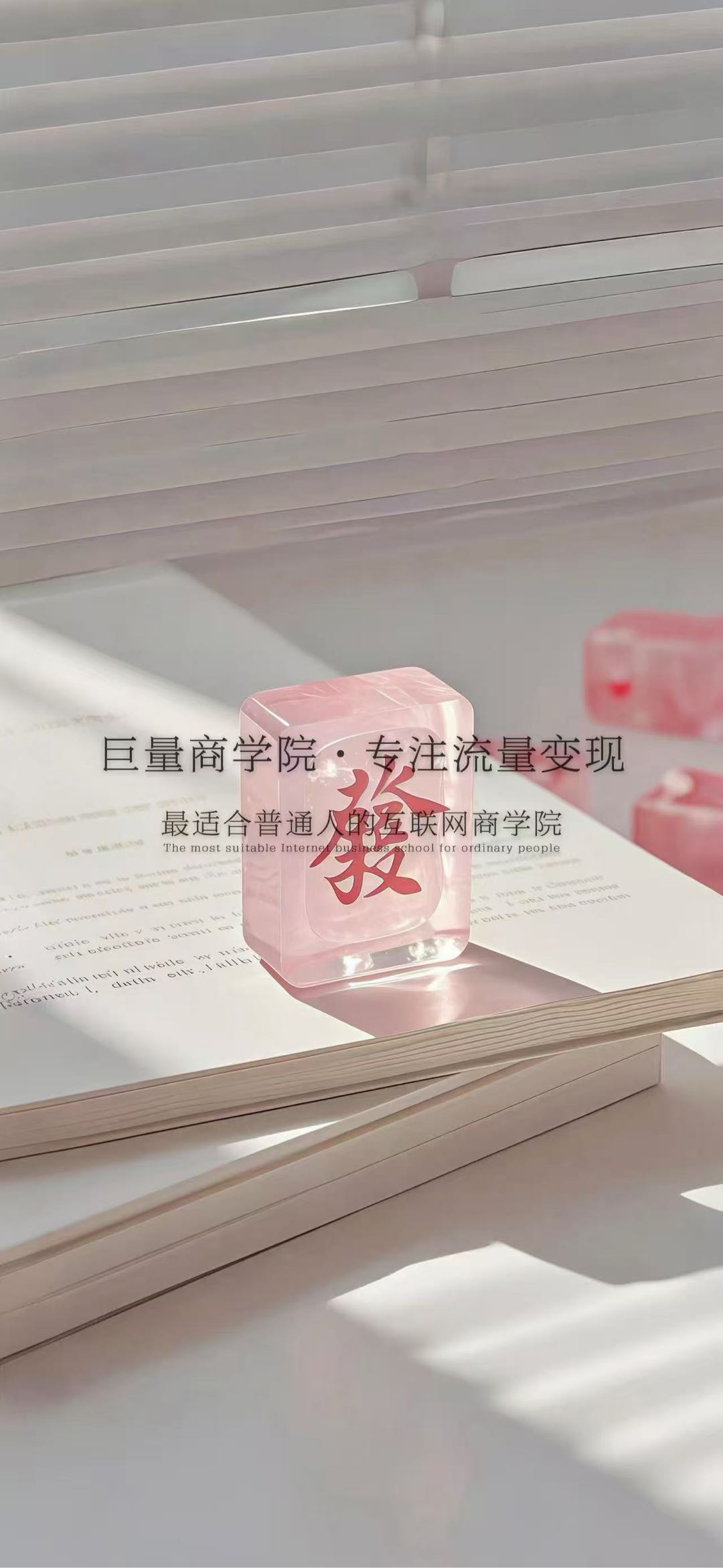 赵先生其他供需小说推广，短剧推广，漫剧推广，日结，有手机在家就可以做。