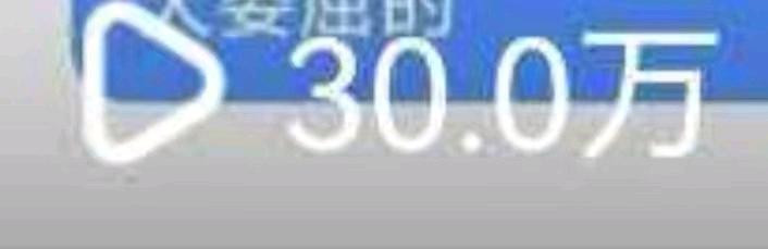 汪女士找合伙人