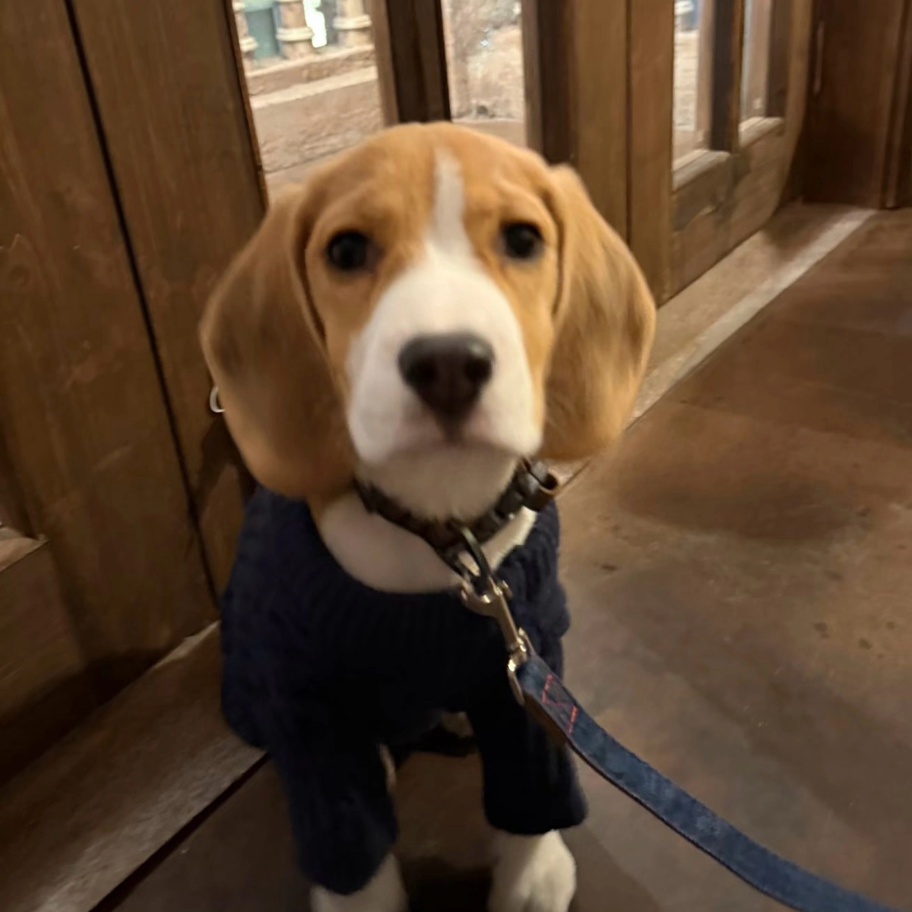 u客直谈实名认证周伟