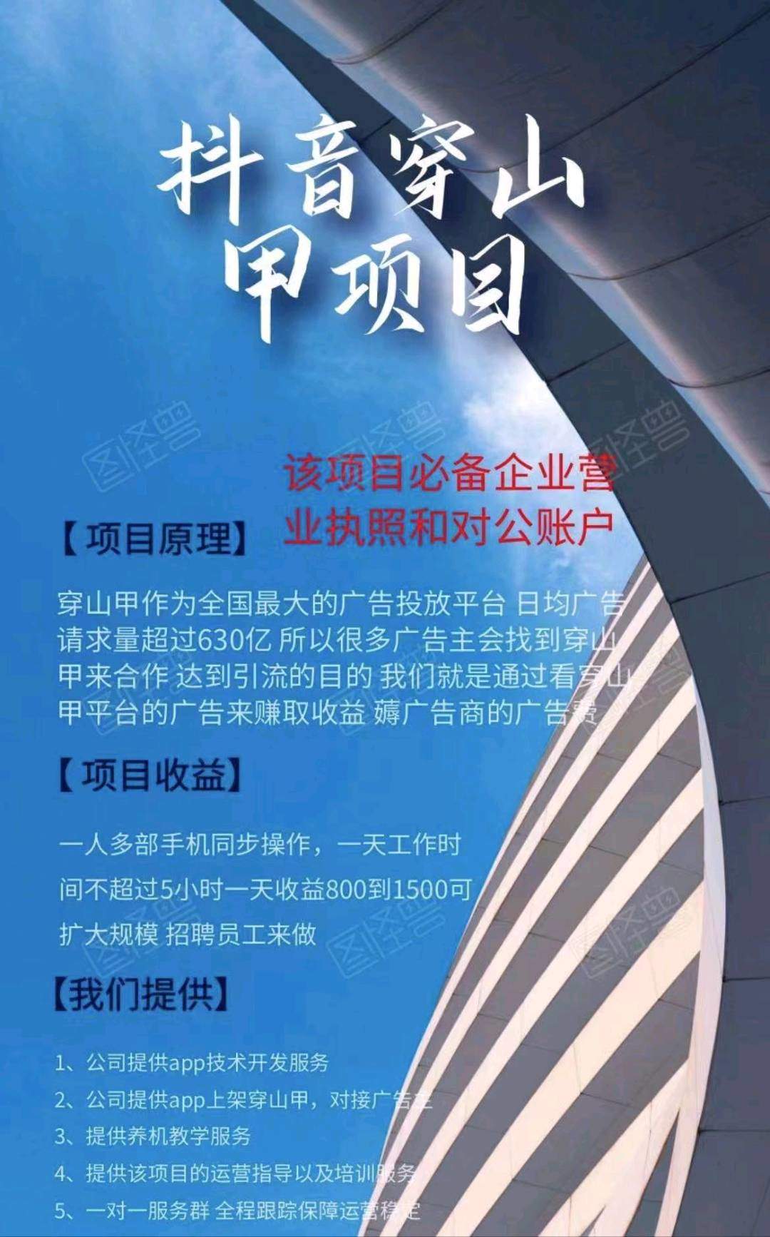 宋先生找合伙人抖音项目
