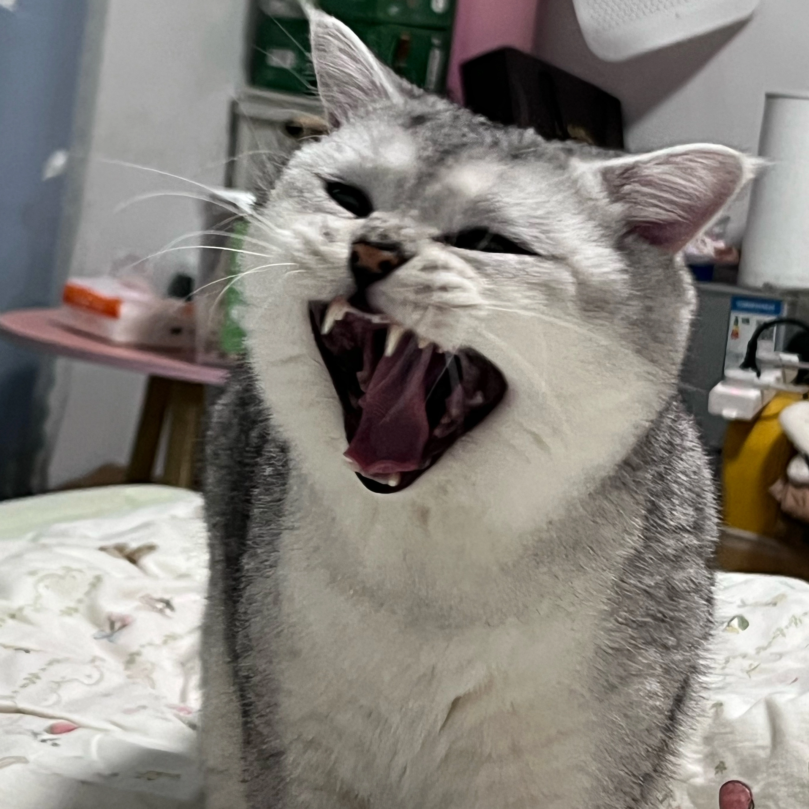 u客直谈实名认证王琪