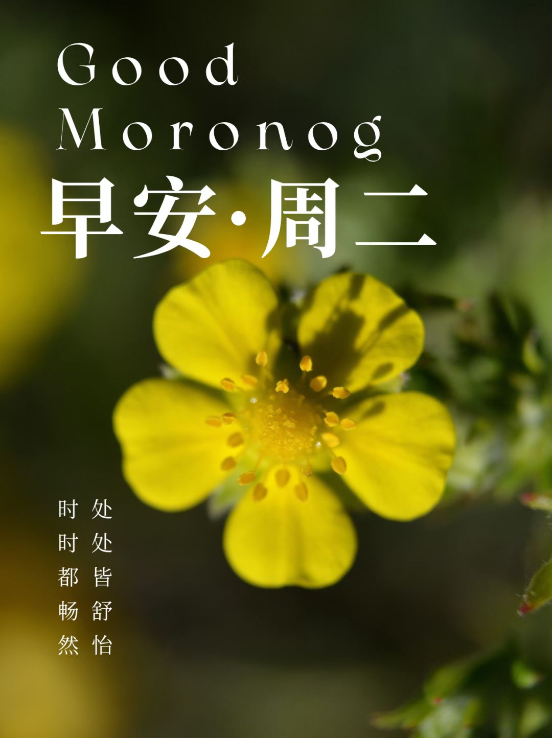 程国庆找合伙人大健康功效型养生馆，每个月利润*