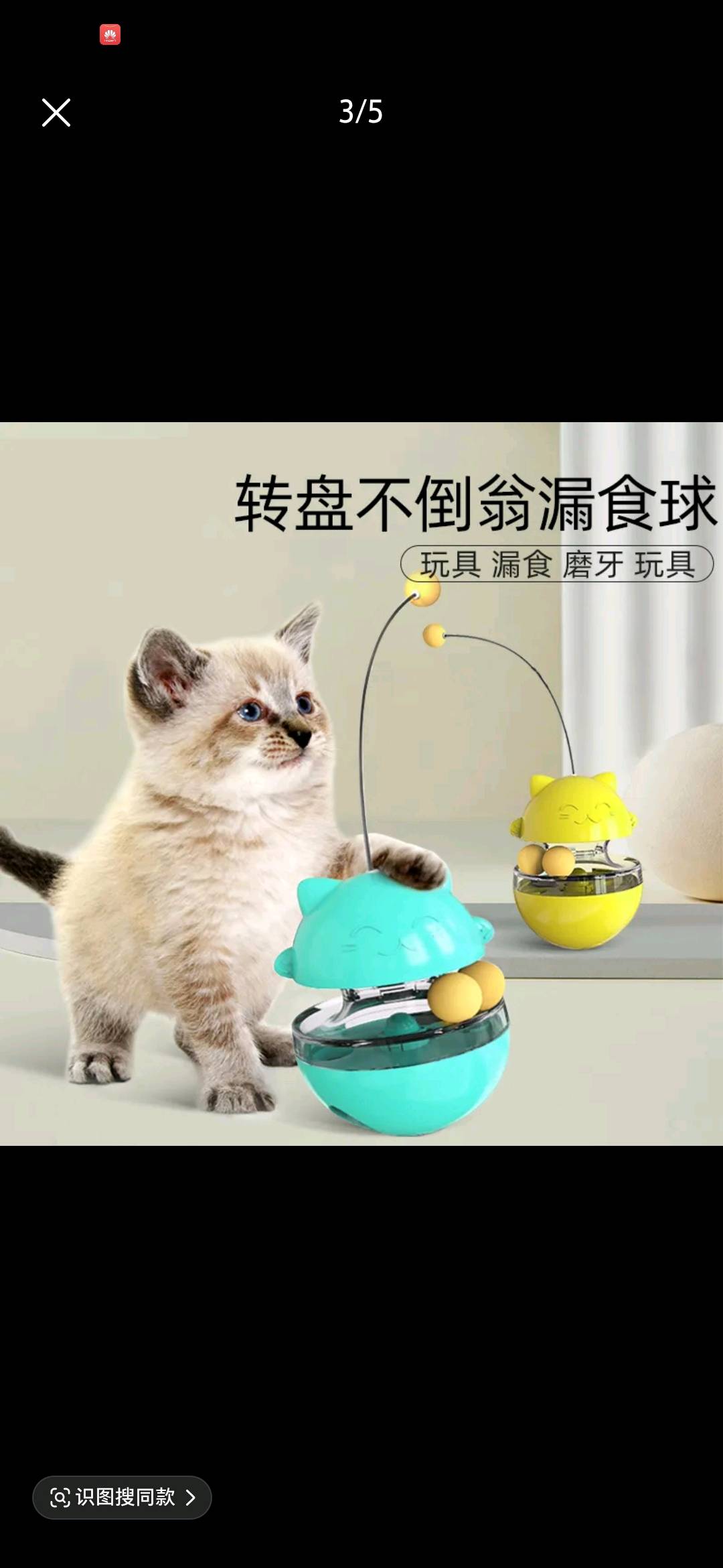 张浩锋宠物用品AI短视频带货