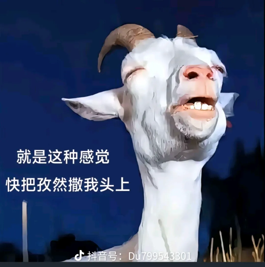 张先生