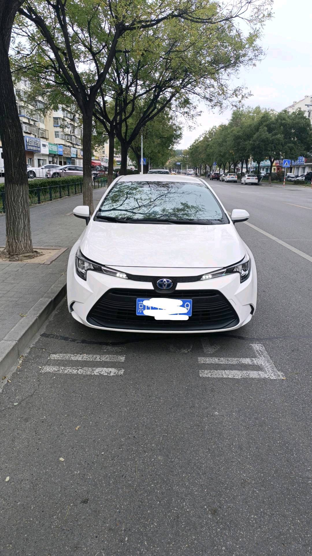 姚先生地推项目北京网约车拉新