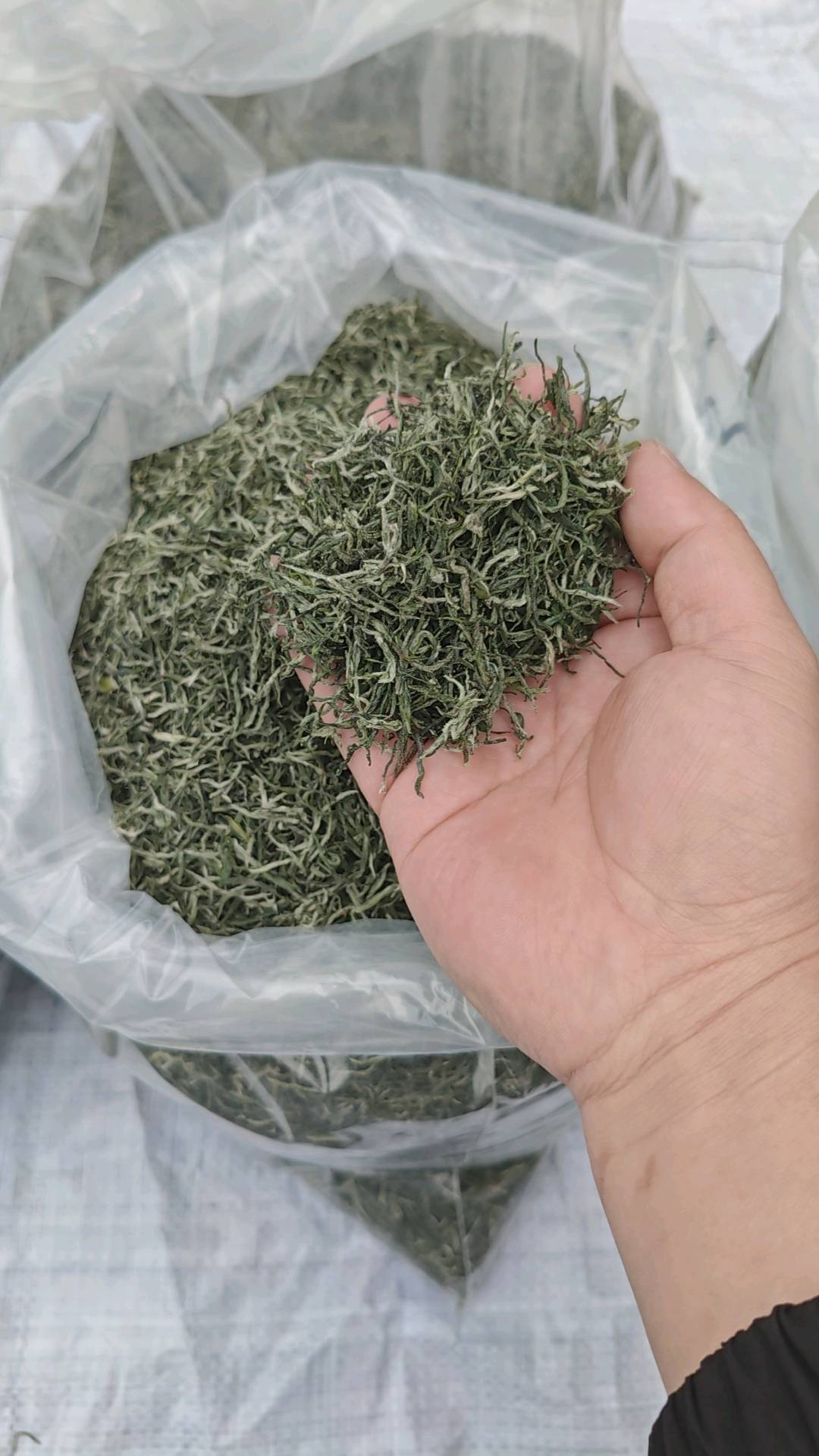 周银龙品牌货源信阳家茶山，自己手工炒茶，毛尖各种档次，价格空间大，一件代发