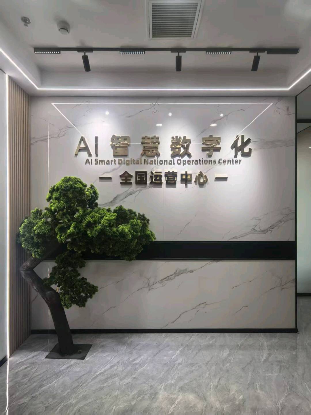 王先生找合伙人