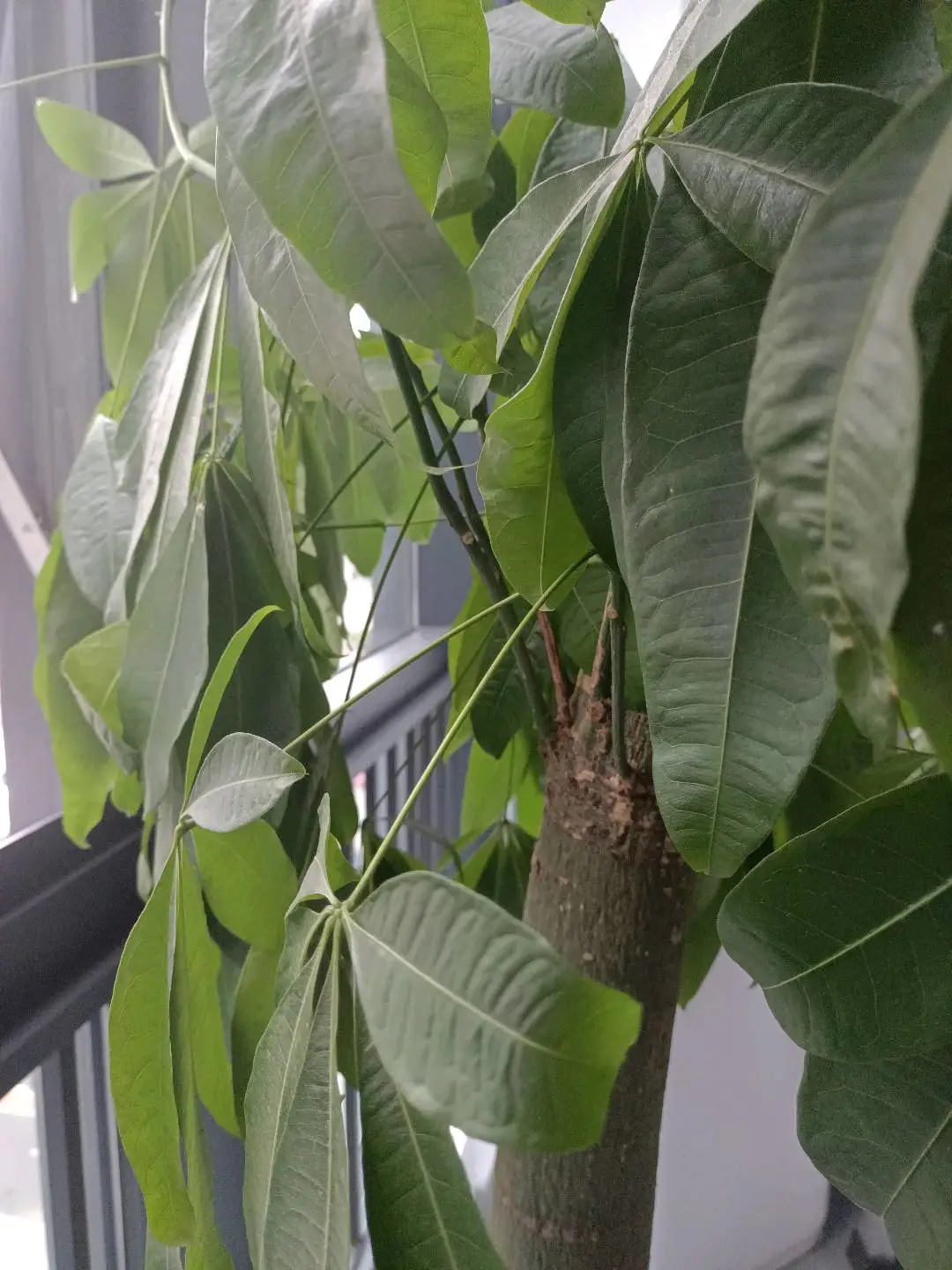 u客直谈实名认证傅先生