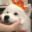 付先生