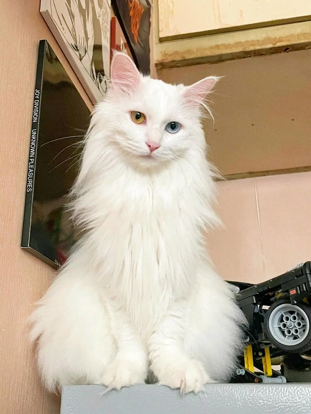 u客直谈实名认证马佳乐