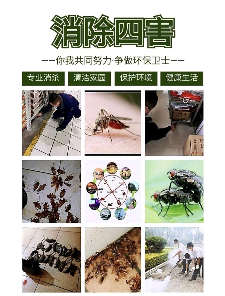 胡召云找合伙人