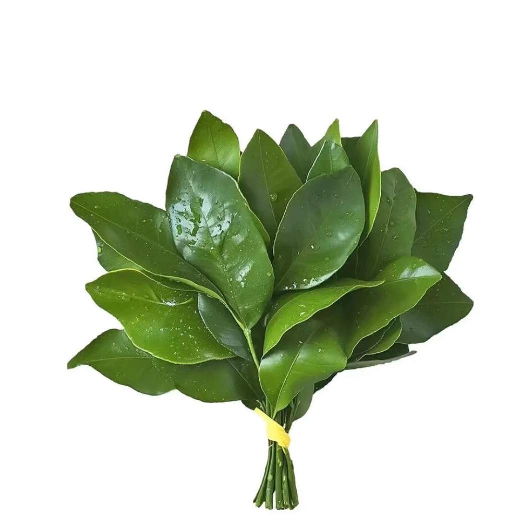 u客直谈实名认证程朦