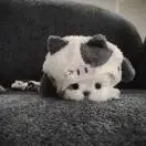 陈伟