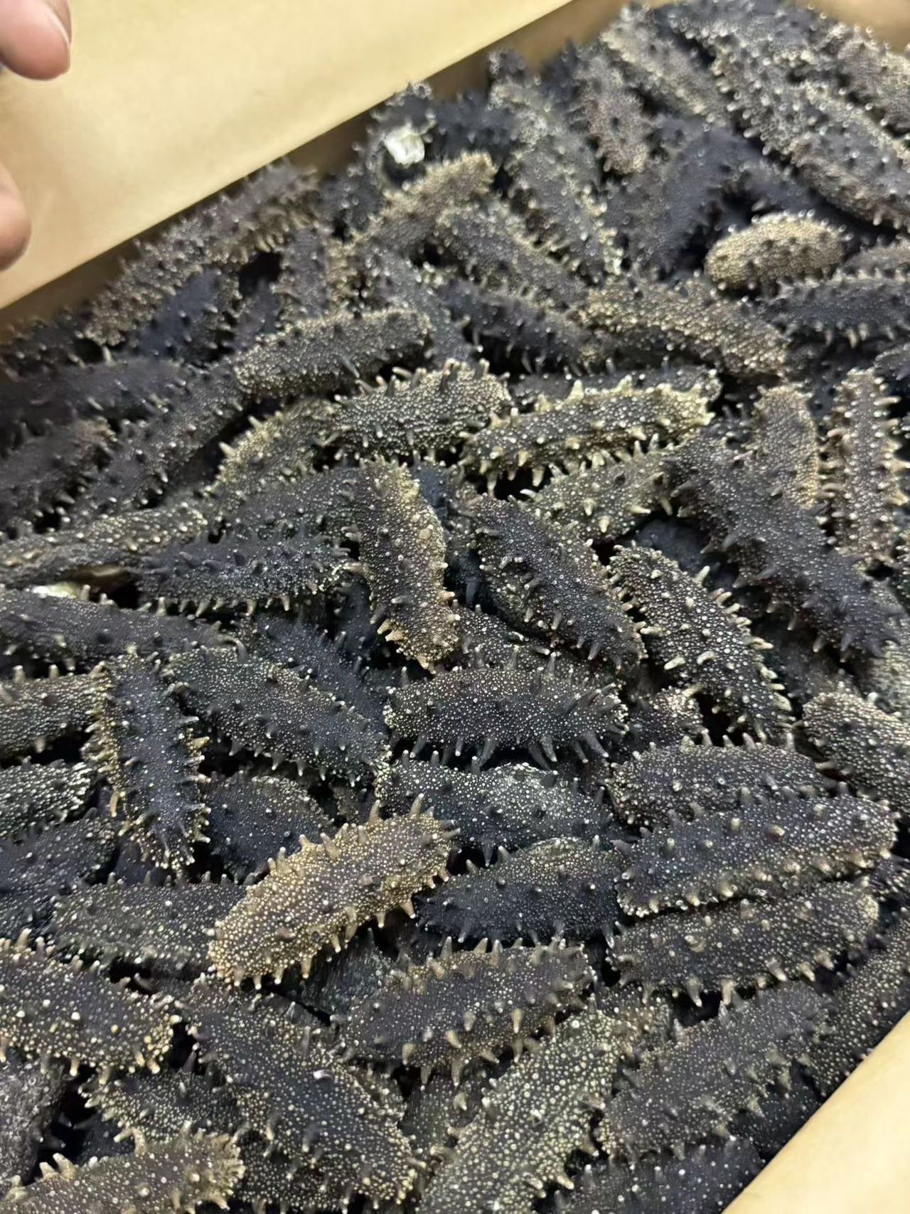 张贤辉品牌货源