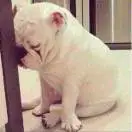 u客直谈实名认证霍秩峰