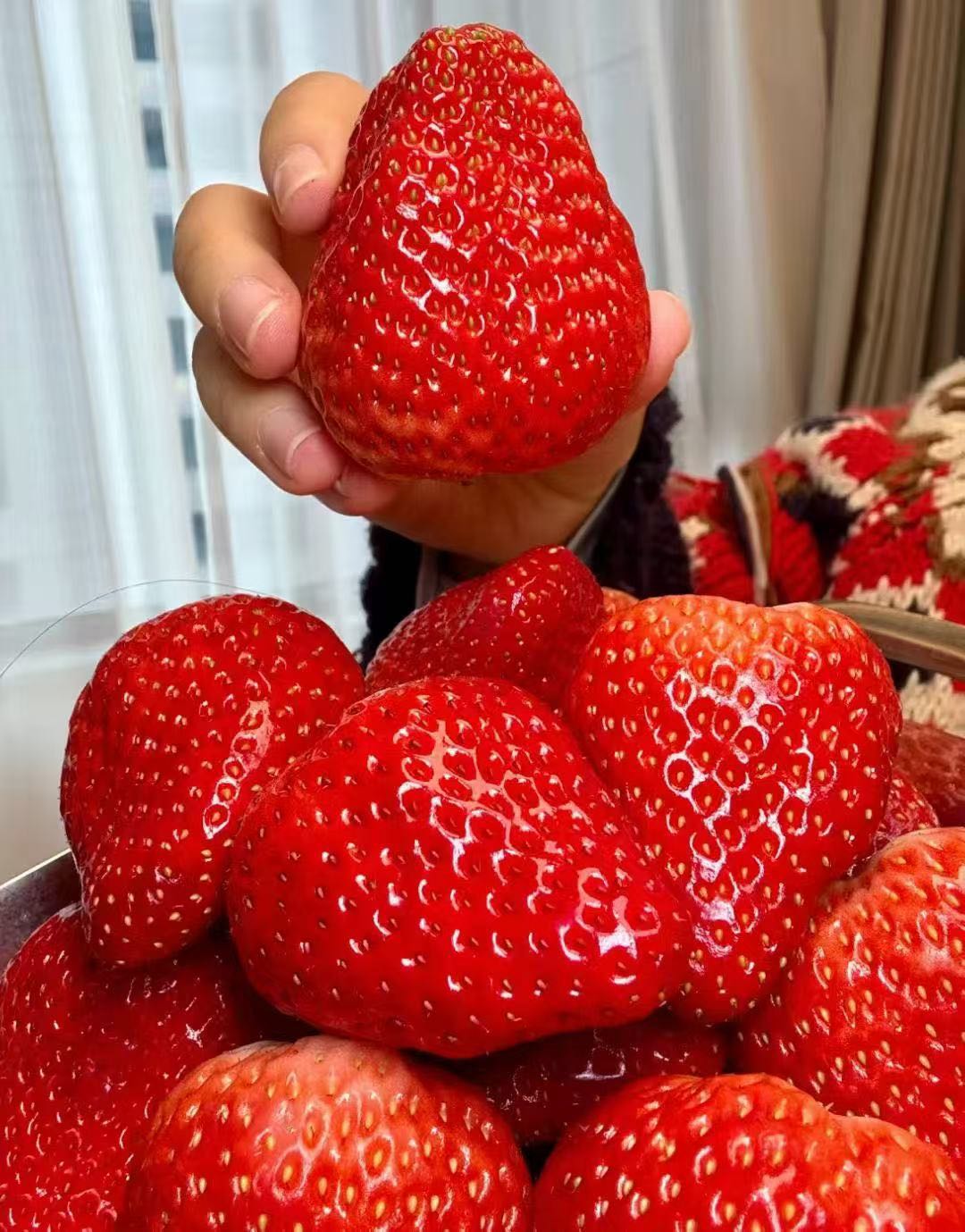 李长城品牌货源