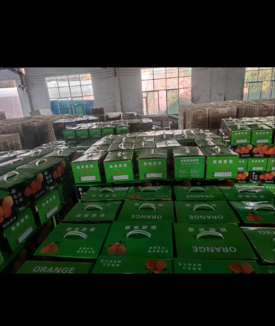 肖先生品牌货源赣州脐橙一件代发