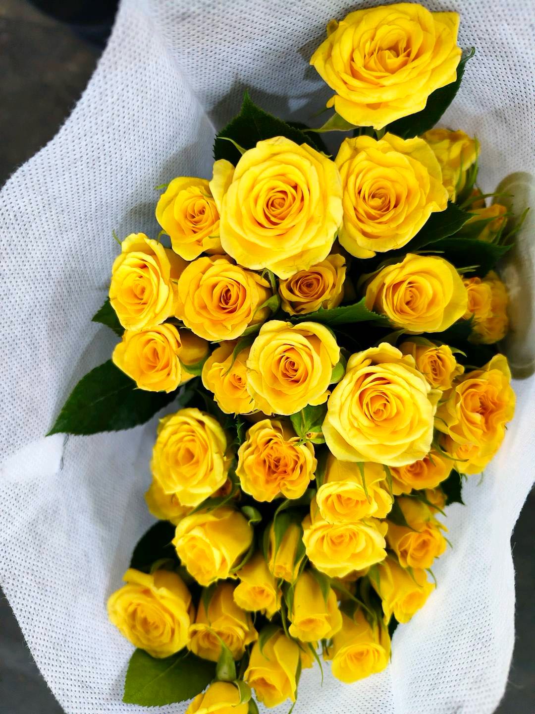 张先生高品质鲜花批发 品种丰富价格实惠支持一件代发