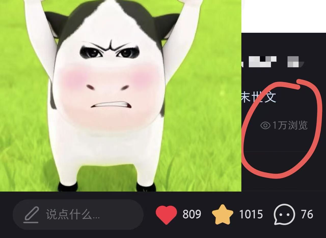 邱女士其他供需短剧，小说推广，一部手机可做，时间自由，操作简单，长期可做，稳定日结