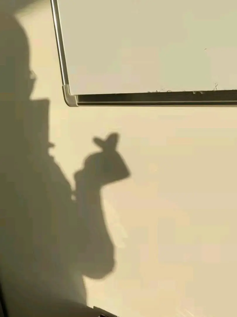 赵女士