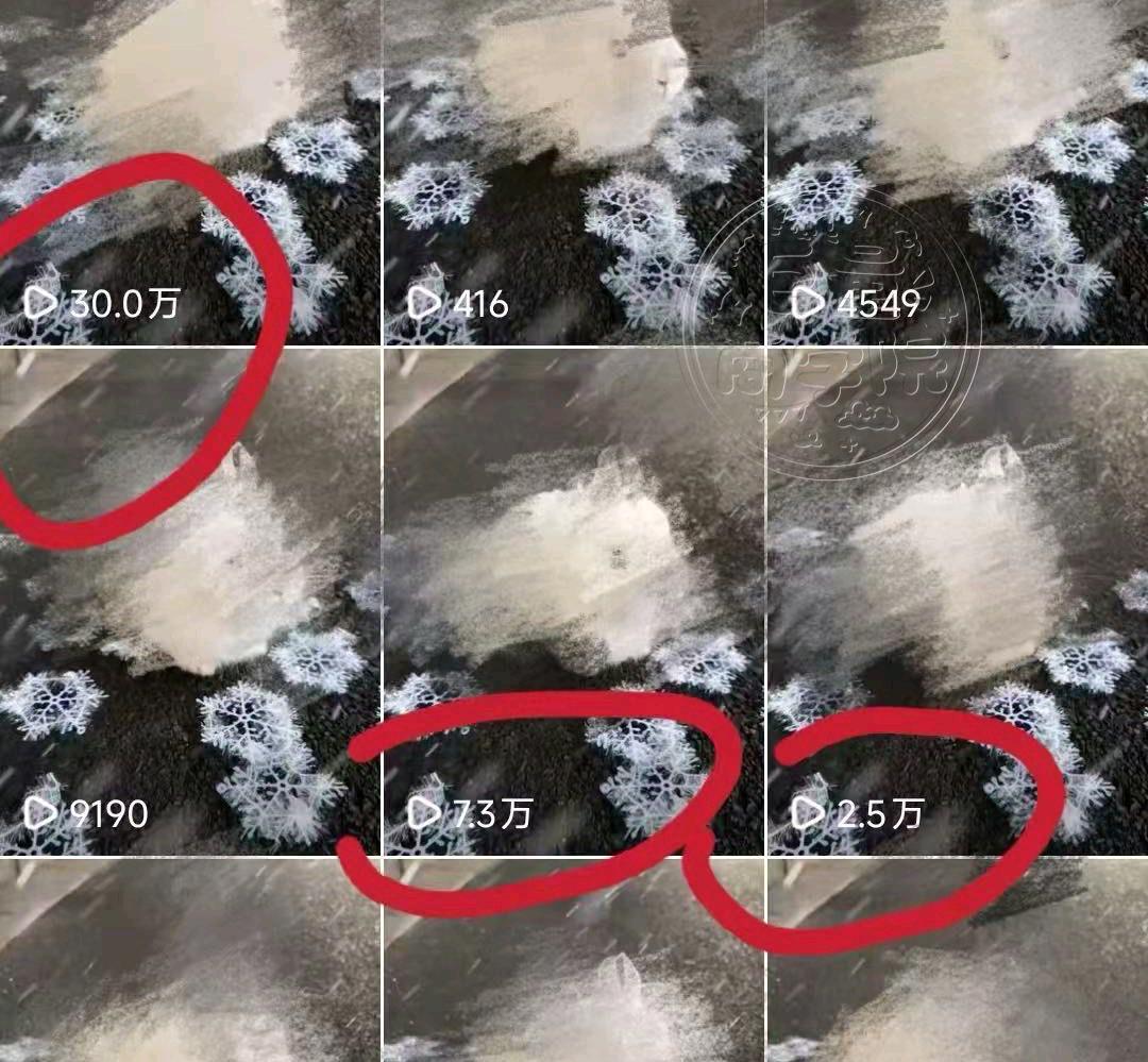 晏女士其他供需