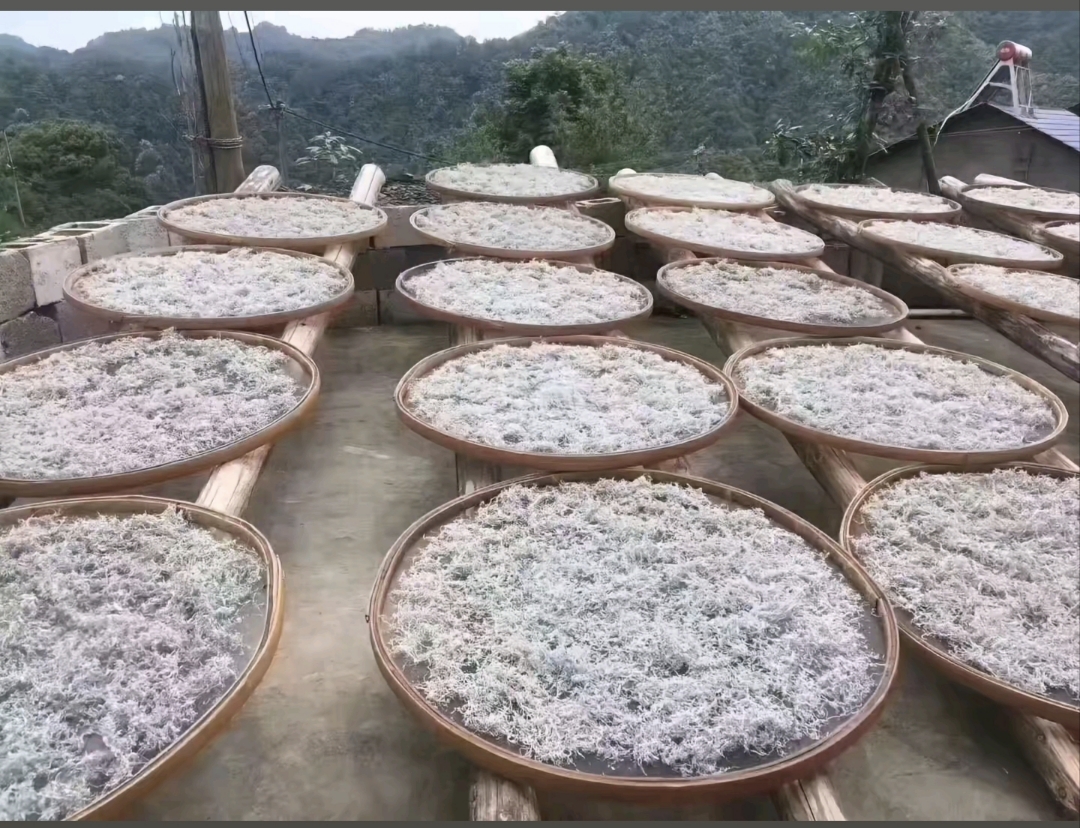 石先生品牌货源神秘湘西莓茶，安神抗衰老，养颜降三高的功效百度可查