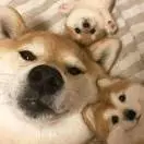 u客直谈实名认证李先生