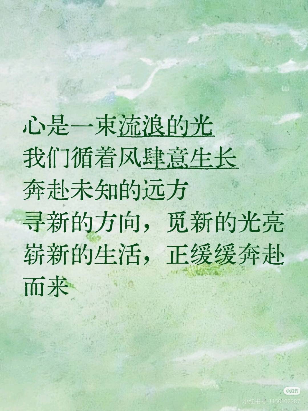王秋丽乙方信息寻找专业文案撰写合作，提供原创治愈系内容定制，支持多平台适配与风格调整