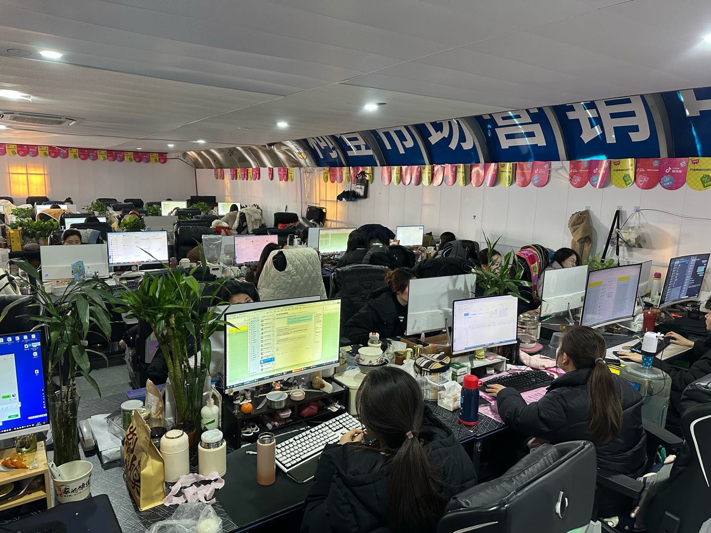 徐乐乐找合伙人