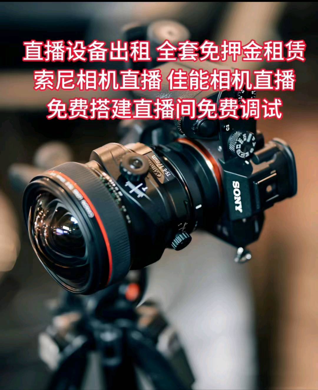 吴女士其他供需