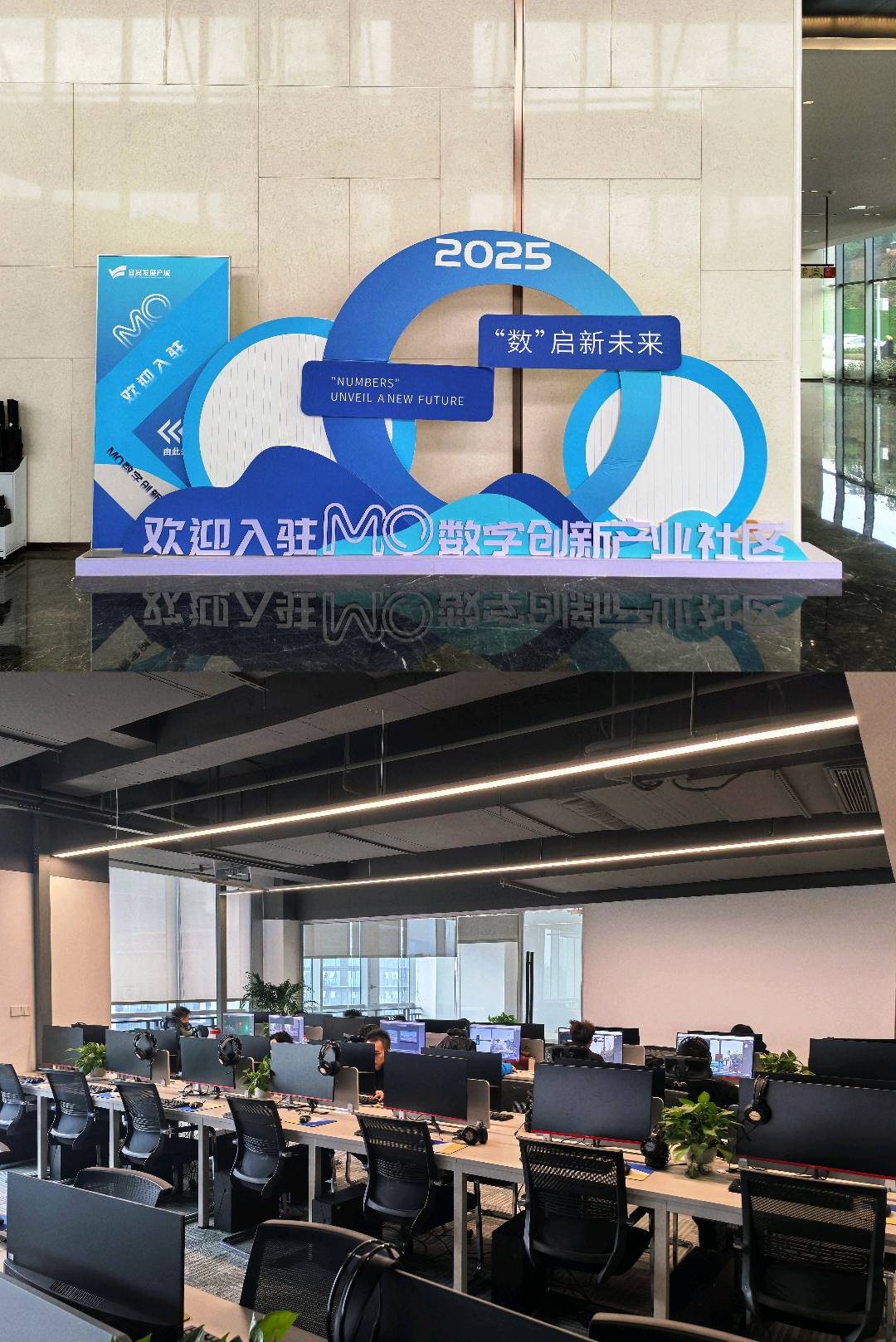 王女士其他供需人工智能 大模型数据处理项目