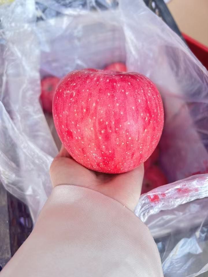 岳子淇品牌货源