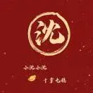 沈启文