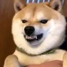 王清铃