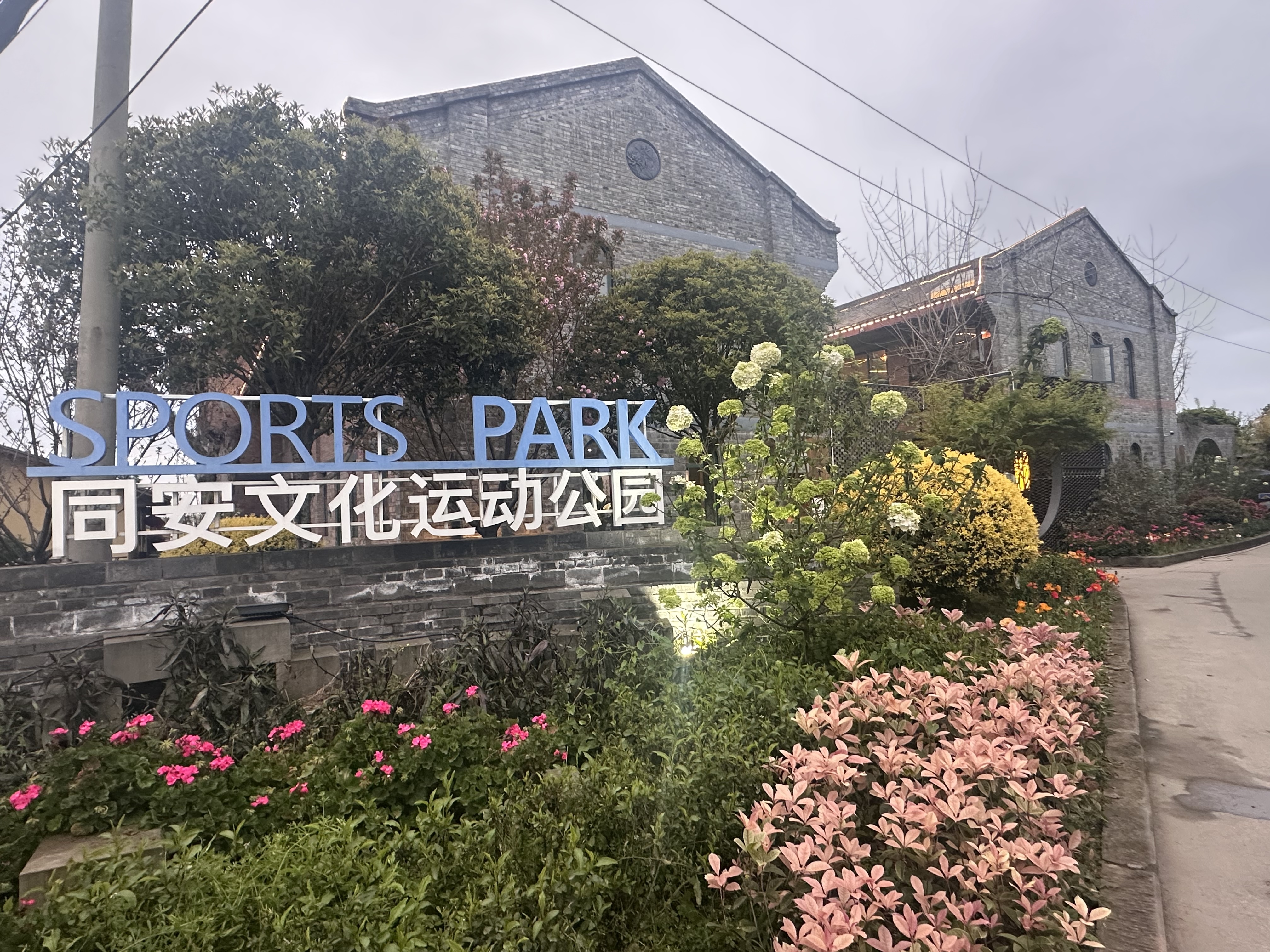 严志刚场地活动