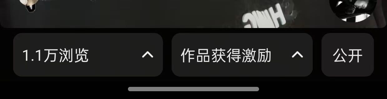 吕诗音推广团队