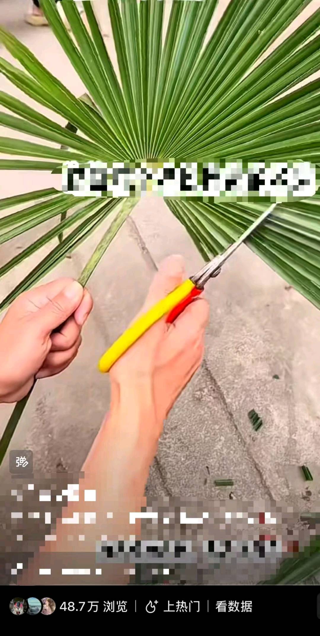 方先生找合伙人