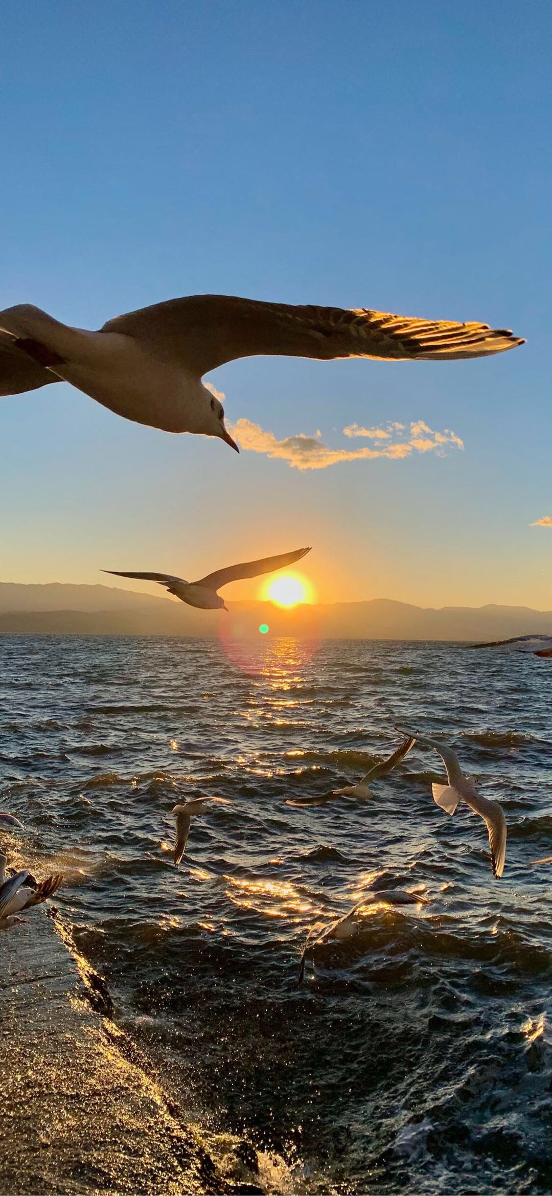 房天姬找合伙人Ai教培创业合伙人