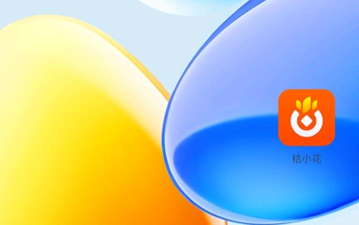 余公共地推项目桔小花