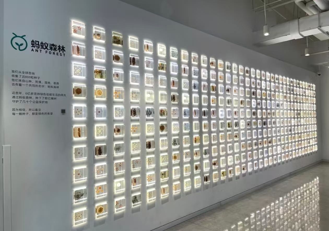 王晓鹏其他供需